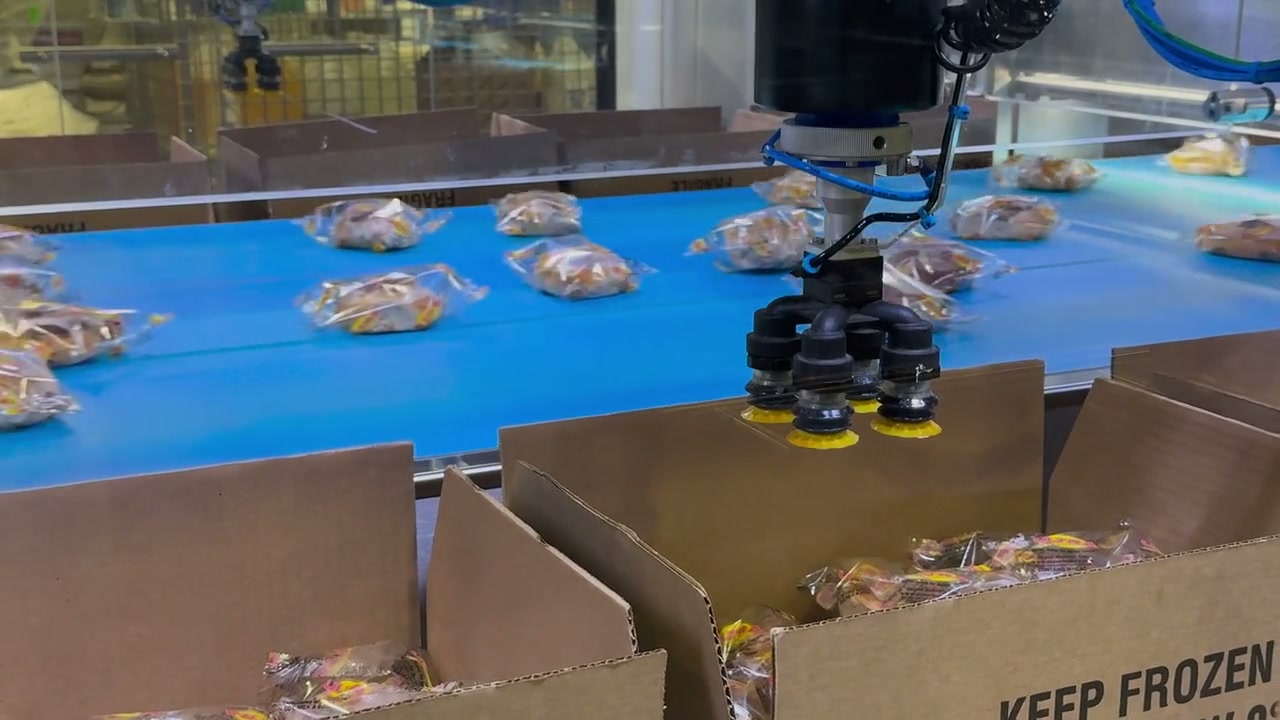 Automated packaging equipment placing products into cases on a manufacturing line